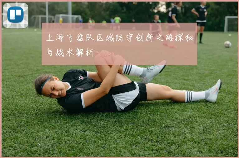 上海飞盘队区域防守创新之路探秘与战术解析