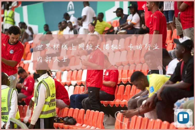 世界杯线上网址大揭秘：专访行业内部人士