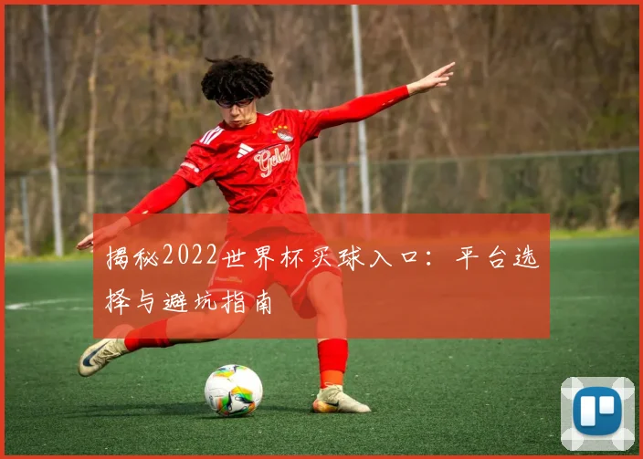 揭秘2022世界杯买球入口：平台选择与避坑指南