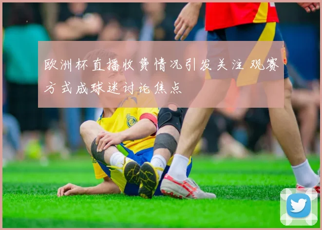 欧洲杯直播收费情况引发关注 观赛方式成球迷讨论焦点