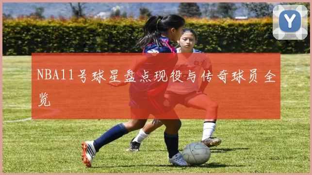 NBA11号球星盘点现役与传奇球员全览