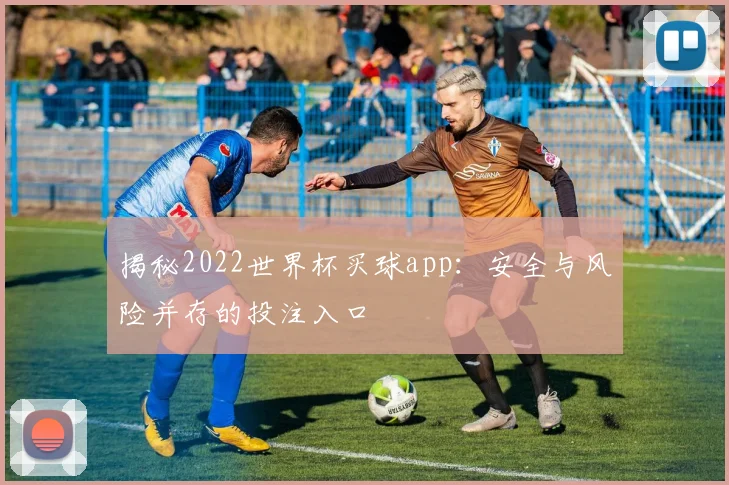 揭秘2022世界杯买球app：安全与风险并存的投注入口