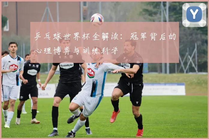 乒乓球世界杯全解读：冠军背后的心理博弈与训练科学
