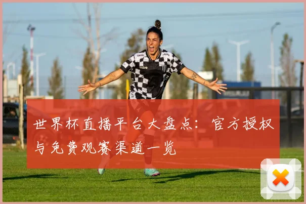 世界杯直播平台大盘点:官方授权与免费观赛渠道一览
