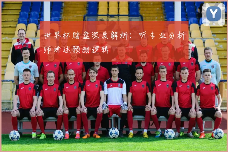 世界杯赌盘深度解析：听专业分析师讲述预测逻辑