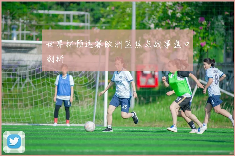 世界杯预选赛欧洲区焦点战事盘口剖析