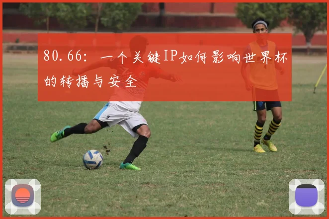 80.66:一个关键IP如何影响世界杯的转播与安全