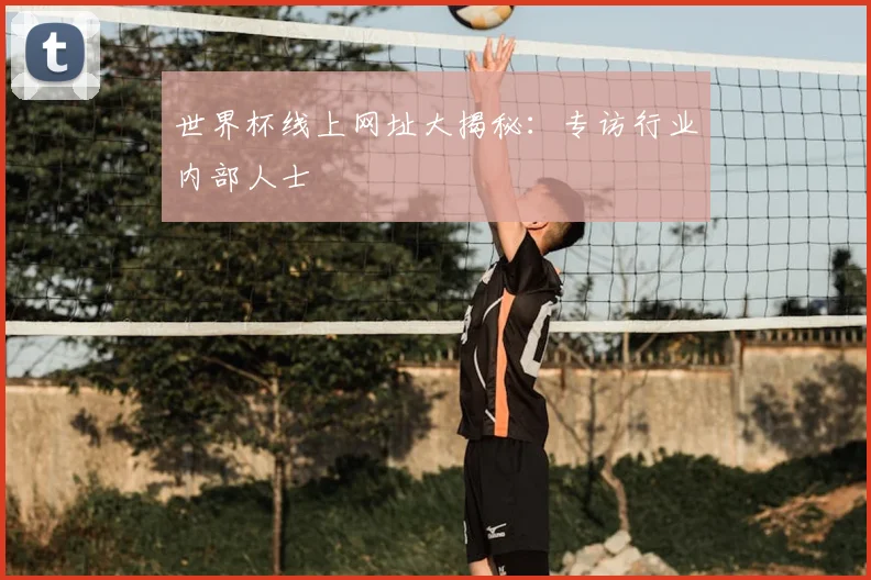 世界杯线上网址大揭秘：专访行业内部人士