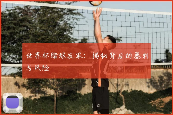 世界杯赌球发家：揭秘背后的暴利与风险